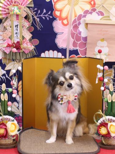 20240108あもちゃん